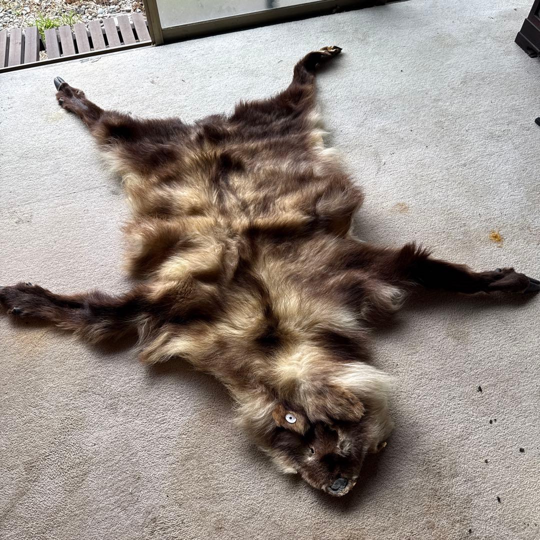 ニホンカモシカ 毛皮 - メルカリ