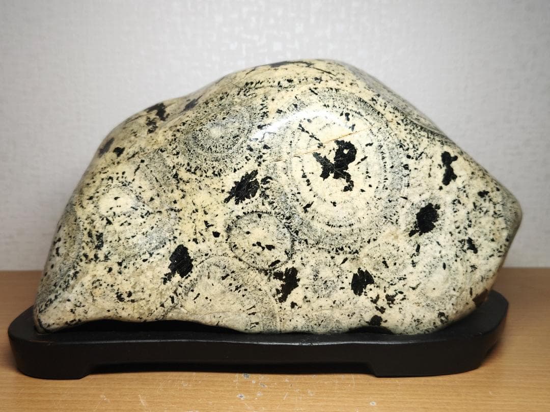 ナポレオン石 13kg 時計石 球状閃緑岩 原石 鑑賞石 自然石 紋石 水石