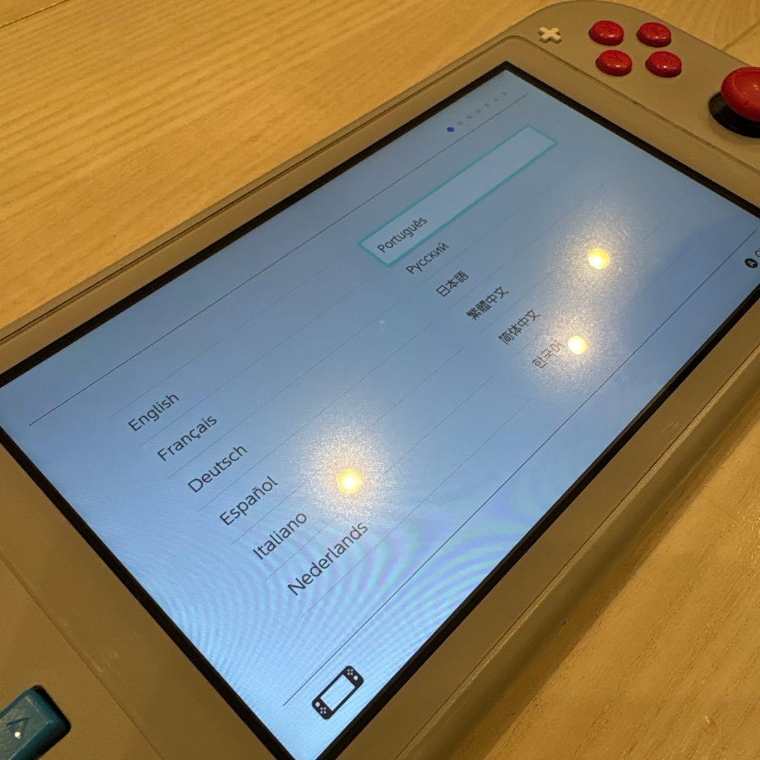Nintendo Switch Lite 本体 動作確認済／背面スレ・キズあり