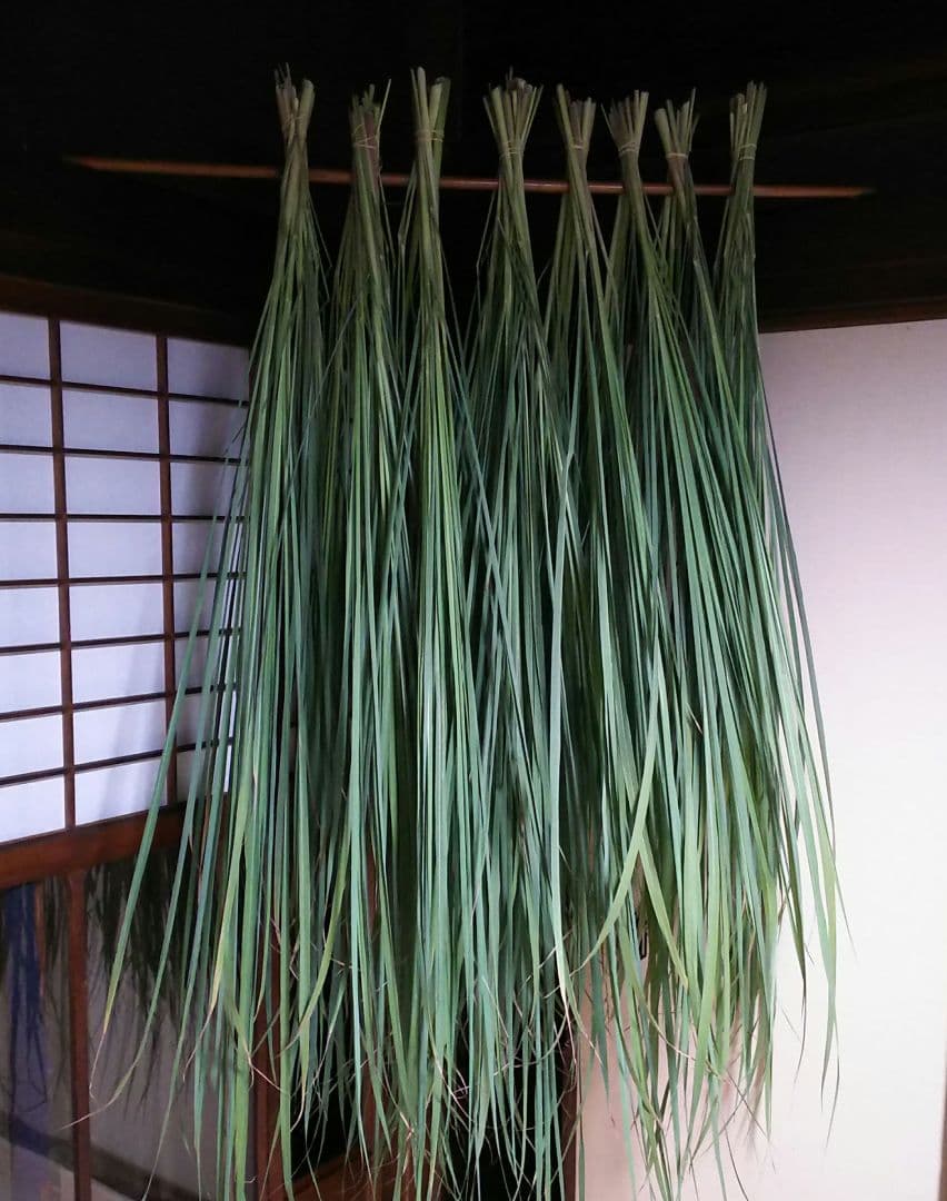 レモングラスドライ　100サイズ