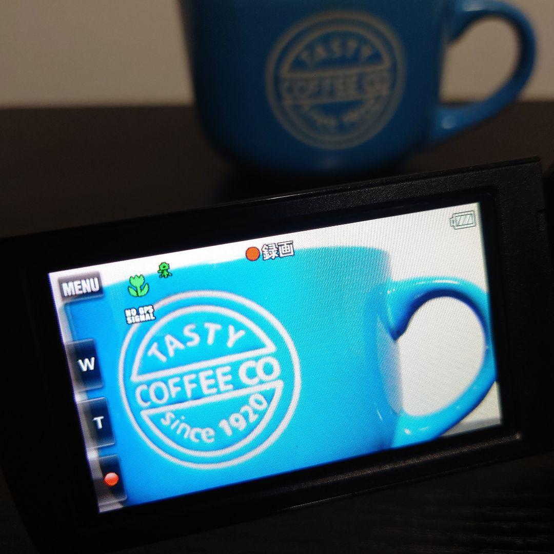 SONY ハンディカム　HDR-CX270V デジカメ