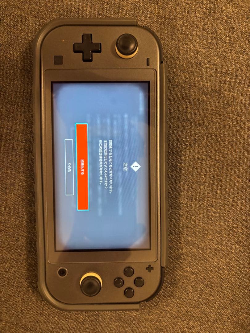 ニンテンドーSwitchライト　ディアルガパルキア