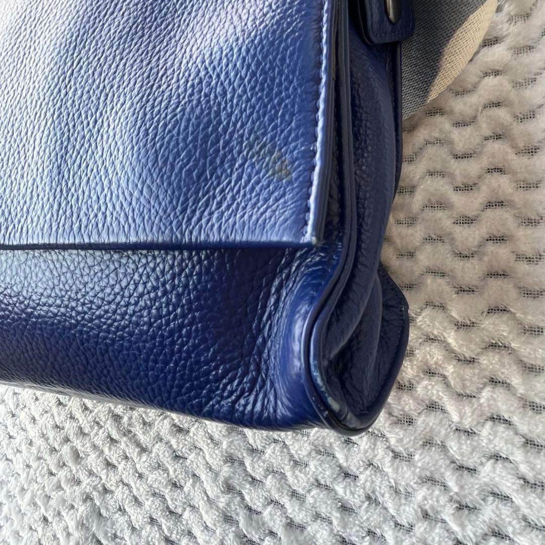 イアパピヨネ 柄ワイドテープショルダーバッグ ダルメシアン ボディバッグ ブルー