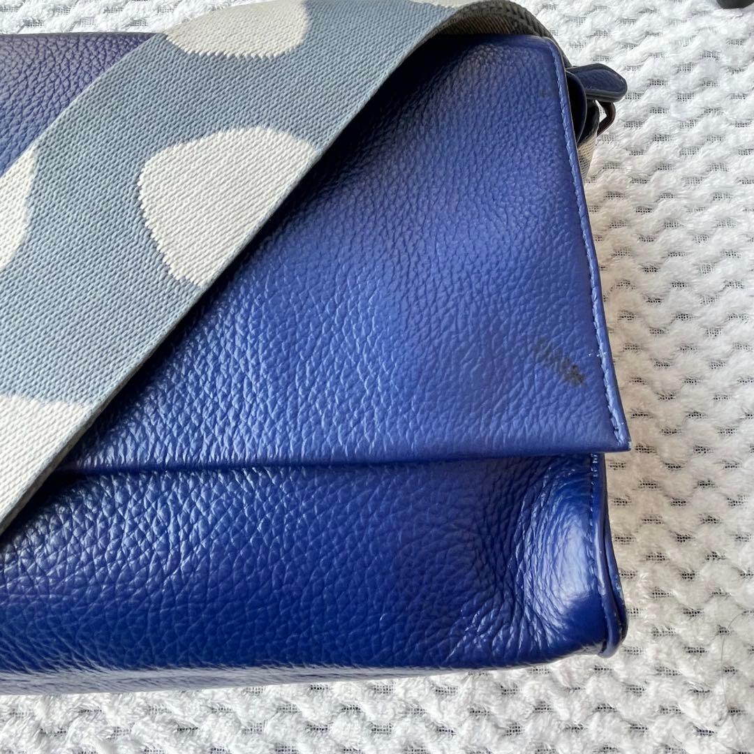 イアパピヨネ 柄ワイドテープショルダーバッグ ダルメシアン ボディバッグ ブルー