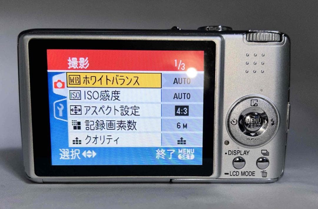 【極上美品】Panasonic Lumix DMC-FX01 SD付41109