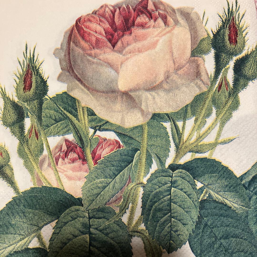 メグねず様 リクエスト 10点 まとめ商品