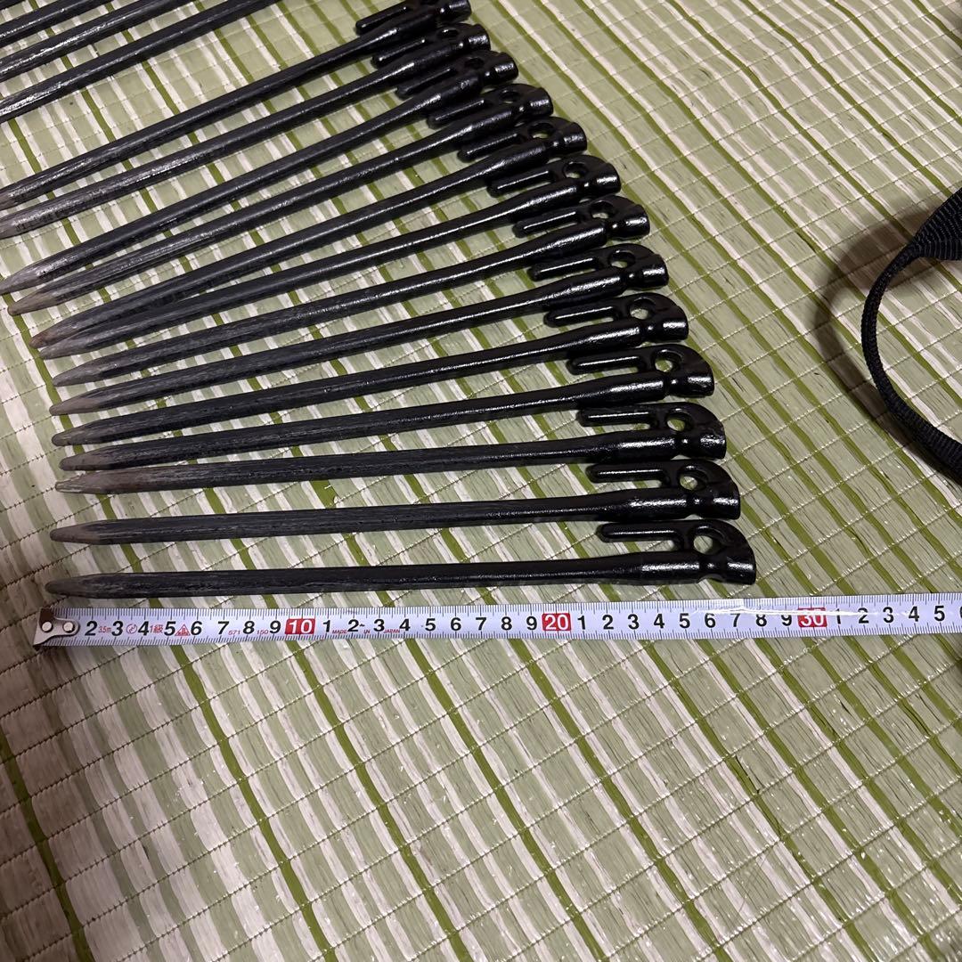 ELLISSE 鍛造ペグ エリッゼ　カオチン塗装　28cm23本 金具　ケース