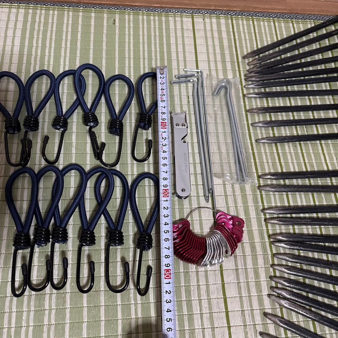 ELLISSE 鍛造ペグ エリッゼ　カオチン塗装　28cm23本 金具　ケース