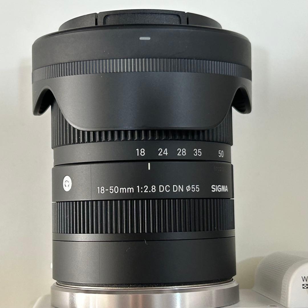 【流星光】SONY ZV-E10 + SIGMA レンズ