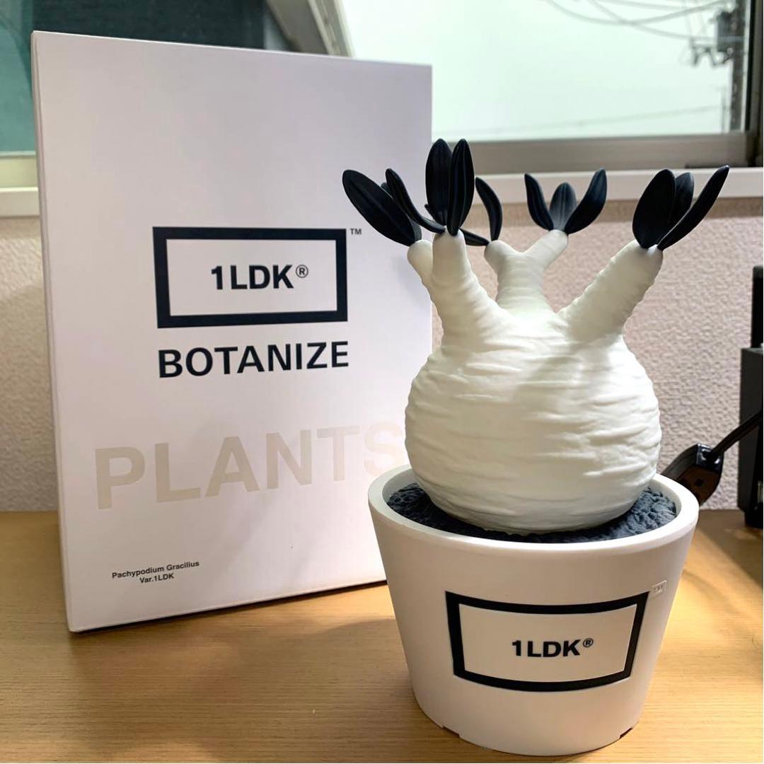 1LDK BOTANIZE ボタナイズ グラキリス フィギュア メディコムトイ