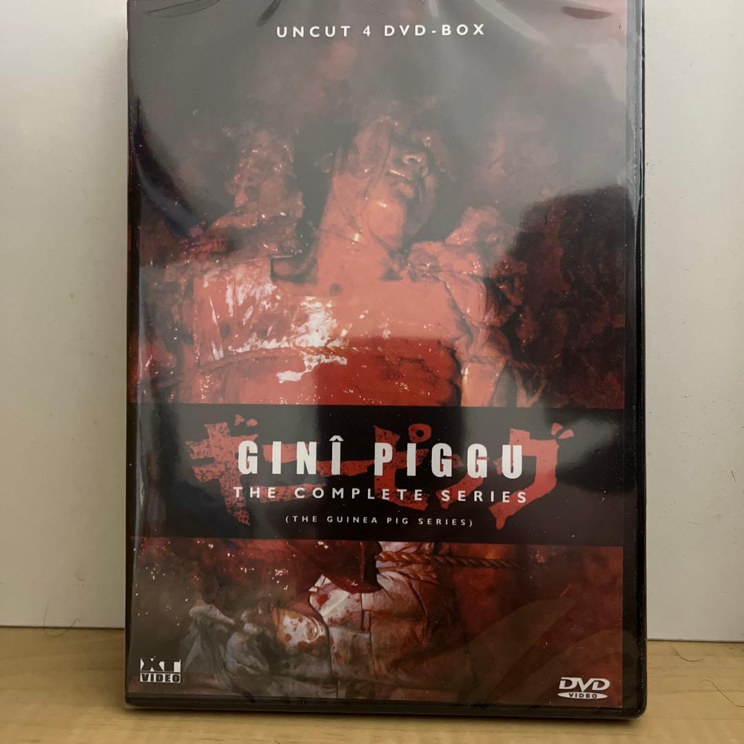 新品　ギニーピッグ　コレクション