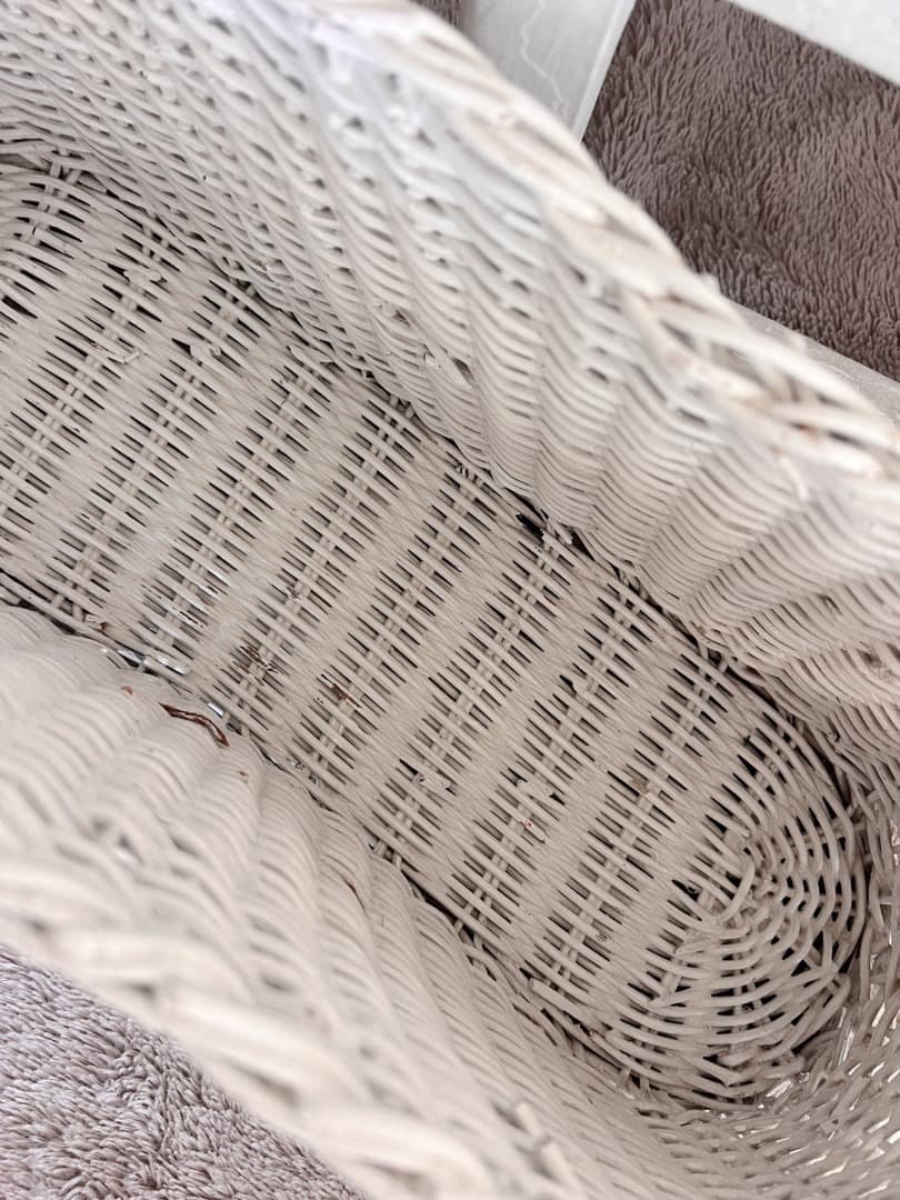 フランス アンティーク パニエ かご バスケット 籐 柳 ピクニック 蚤の市