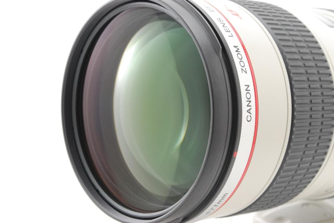 レンズ(ズーム) Canon EF 70-200mm f/2.8 L USM L0210