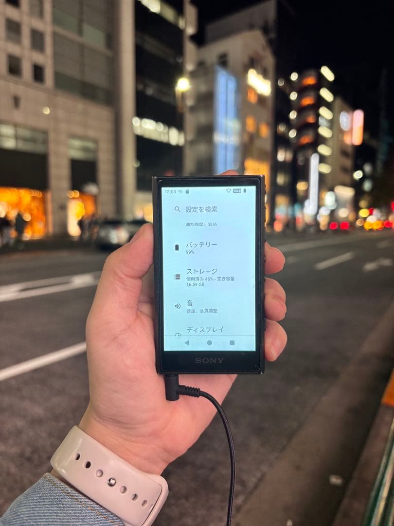 SONY Walkman NW-A306 （32GB）