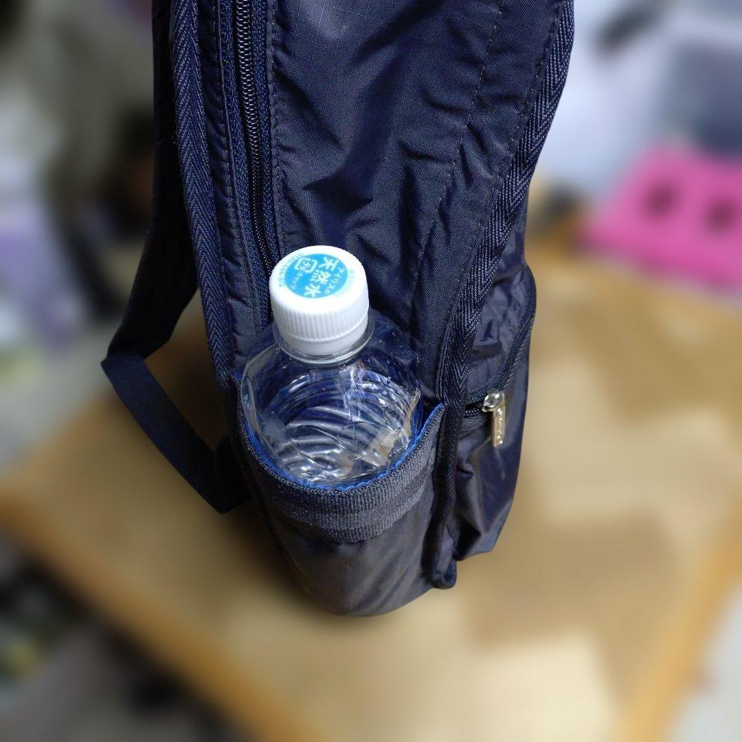 LeSportsac Route Backpack ダークグレー