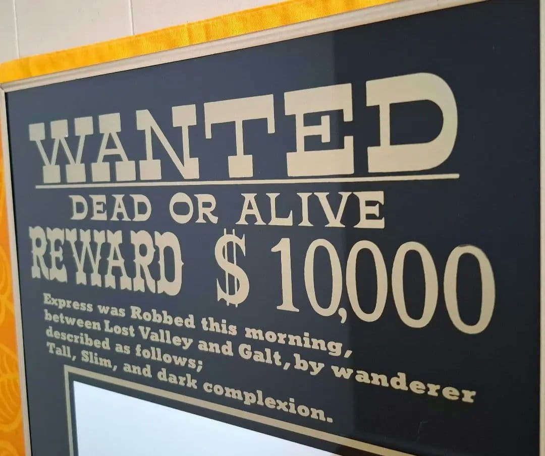 Wells. Fargo & Co. パブミラー アメリカン雑貨 インテリア Wells