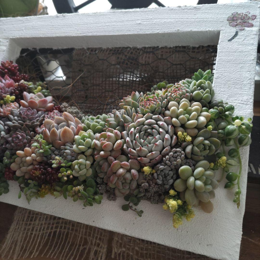 ジュリアンオーダーページ