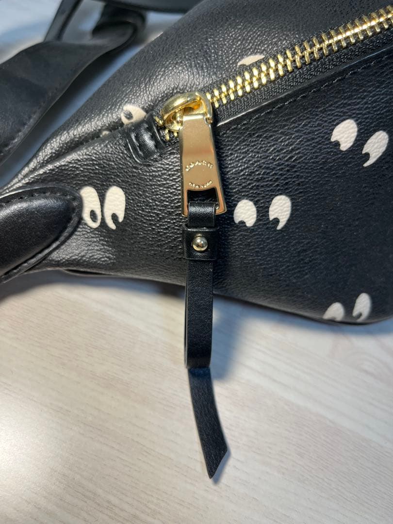 新品】COACH ×DISNEY 白雪姫 総柄 ウエストバッグ F72818 - メルカリ