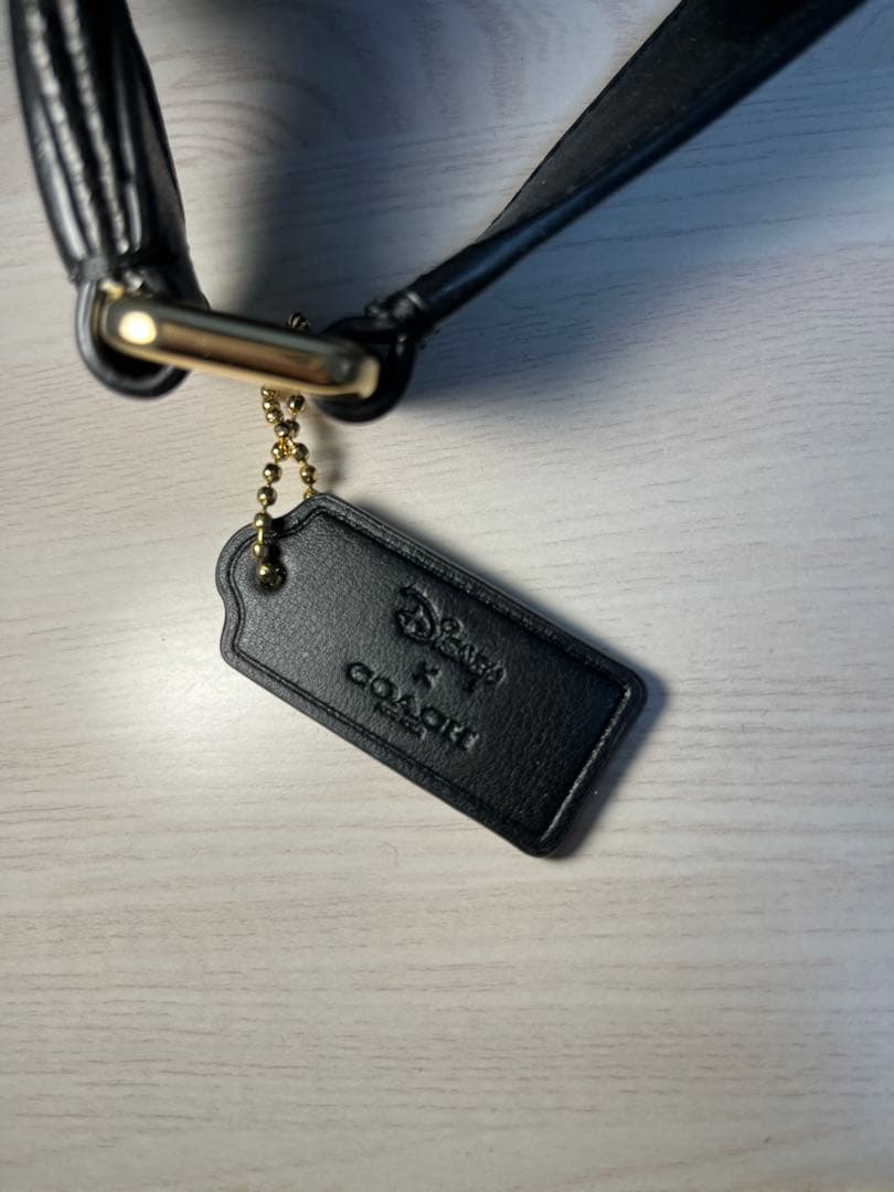 新品】COACH ×DISNEY 白雪姫 総柄 ウエストバッグ F72818 - メルカリ