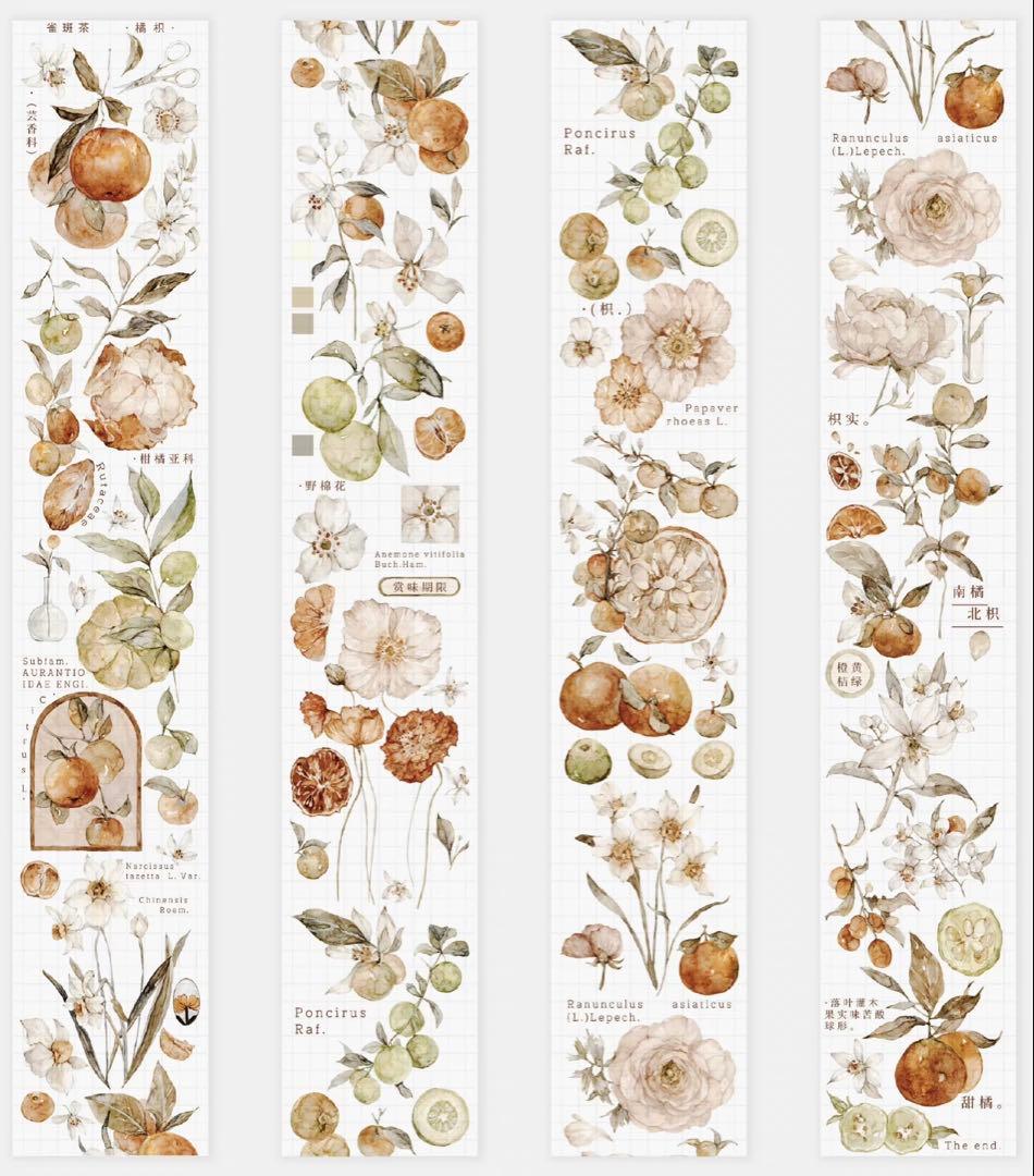 《在庫処分最終値下げ》海外 マスキングテープ雀斑茶 6点⚠️pet（33.324