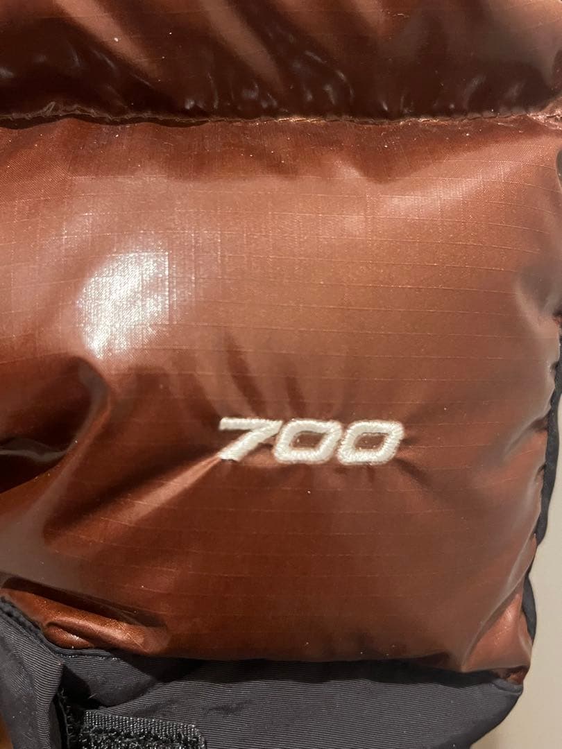 Supreme The North Face 700Fill 2XL希少サイズ