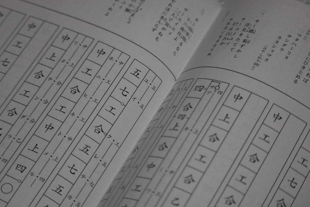 沖縄三線セット（人工皮張り）教本と初心者に必要なお得な付属品付
