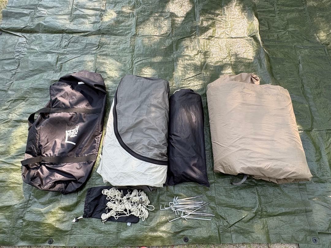 サバティカル　アルニカ　A&F