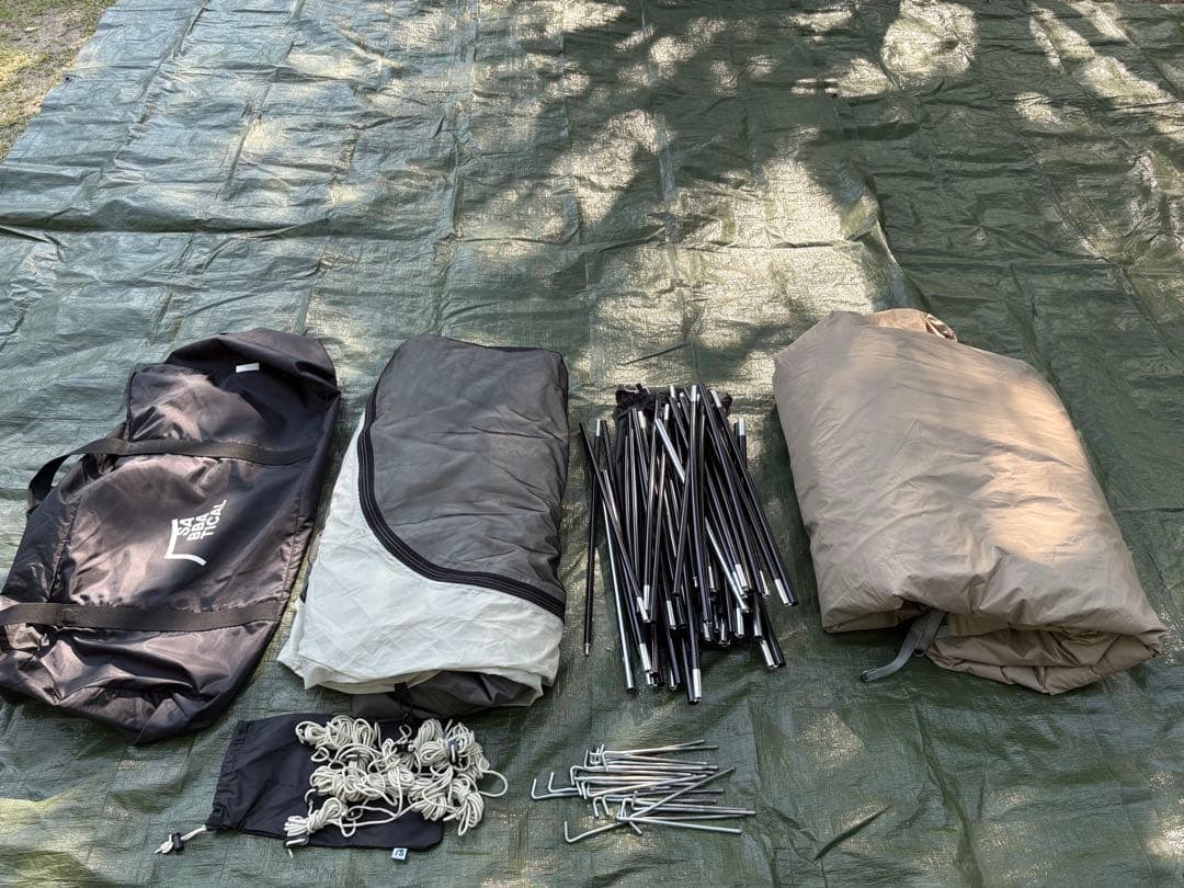 サバティカル　アルニカ　A&F