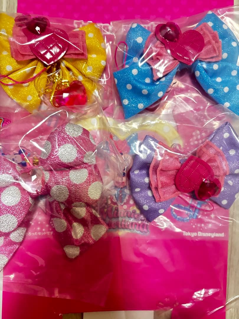 キーチェーン セット 全4種 ミニーのファンダーランド ディズニー