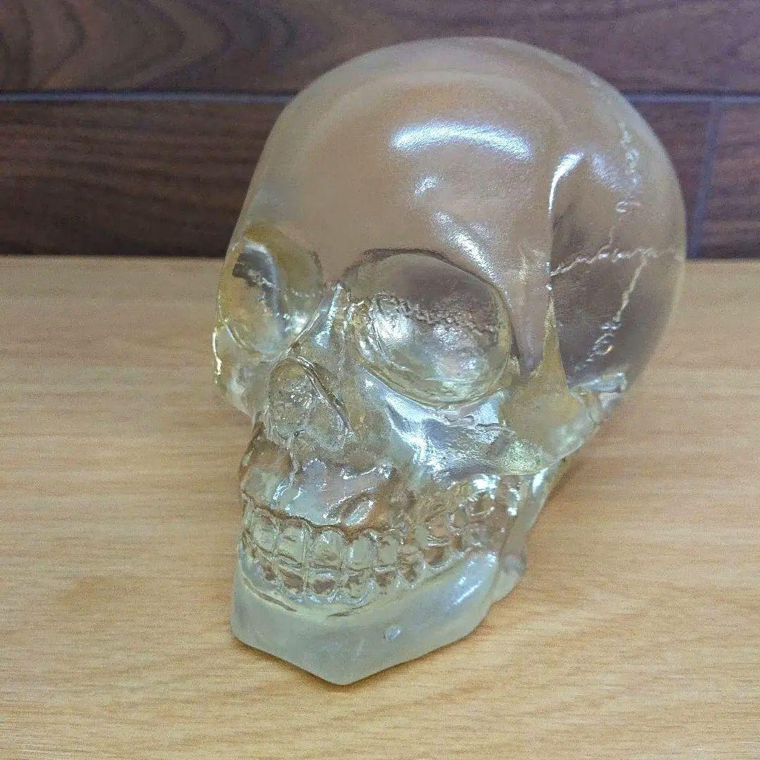 スカル オブジェ 骸骨 置物 透明