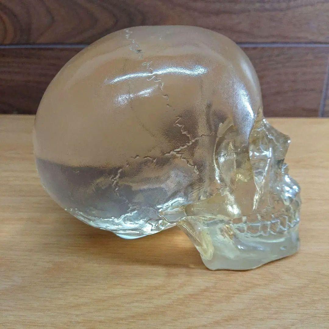 スカル オブジェ 骸骨 置物 透明