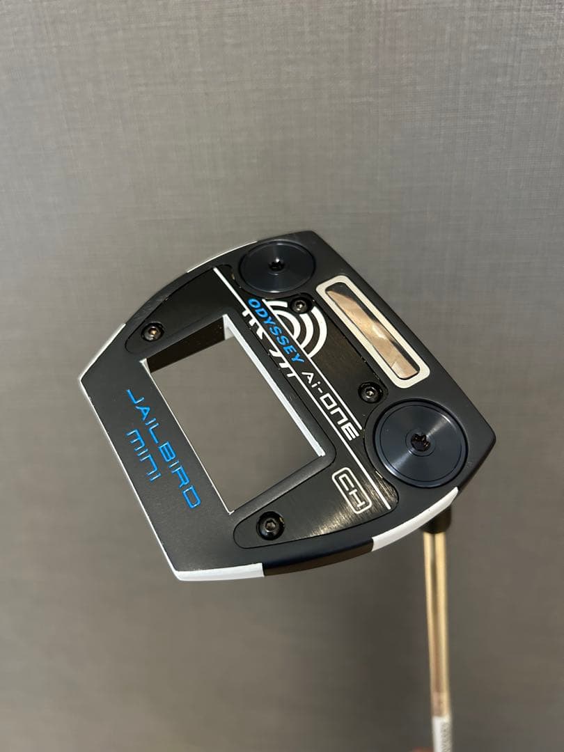 オデッセイ Ai-ONE ジェイルバード ミニ CH 34インチ 美品