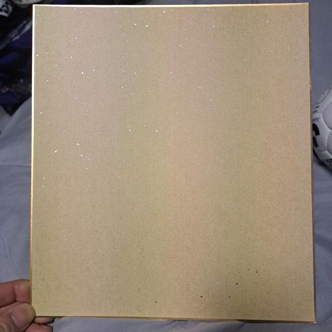 日本代表森保一監督サンフレッチェ広島2013シーズンサイン色紙+サイン入りボール