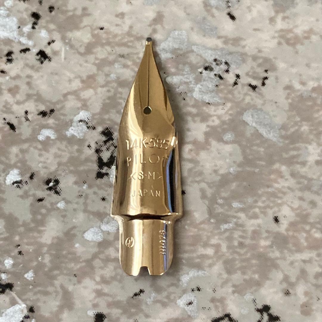 200 オーバーホール済み 万年筆 パイロット PILOT エラボー 14k - メルカリ