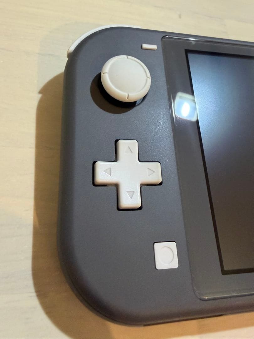 Nintendo Switch Lite グレー 本体　おまけ付き