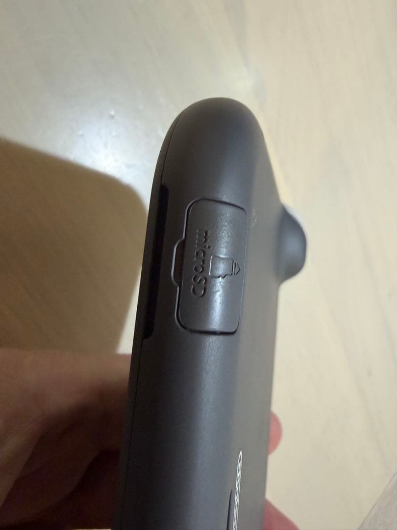 Nintendo Switch Lite グレー 本体　おまけ付き