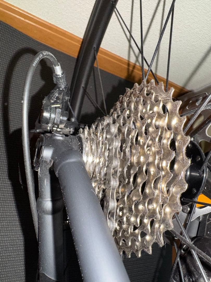 自転車本体 Trek Domane AL 5 Gen 4