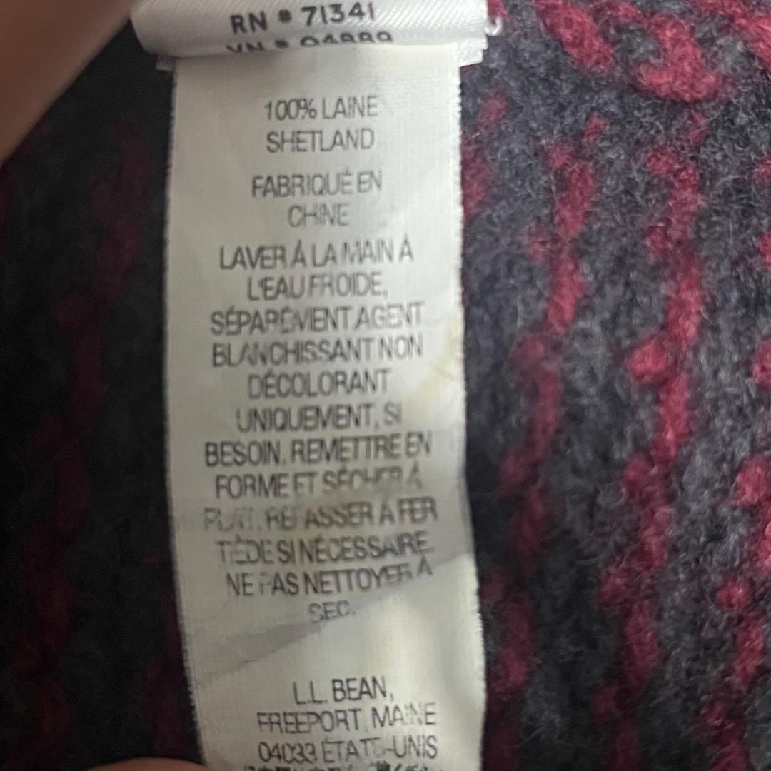 【希少】L.L.Bean エルエルビーン バーズアイ ニット筆記体　ヴィンテージ