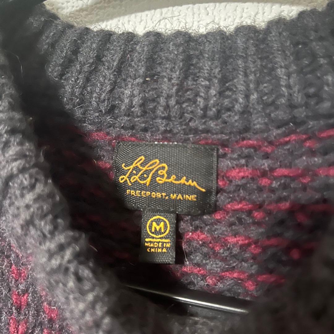 【希少】L.L.Bean エルエルビーン バーズアイ ニット筆記体　ヴィンテージ