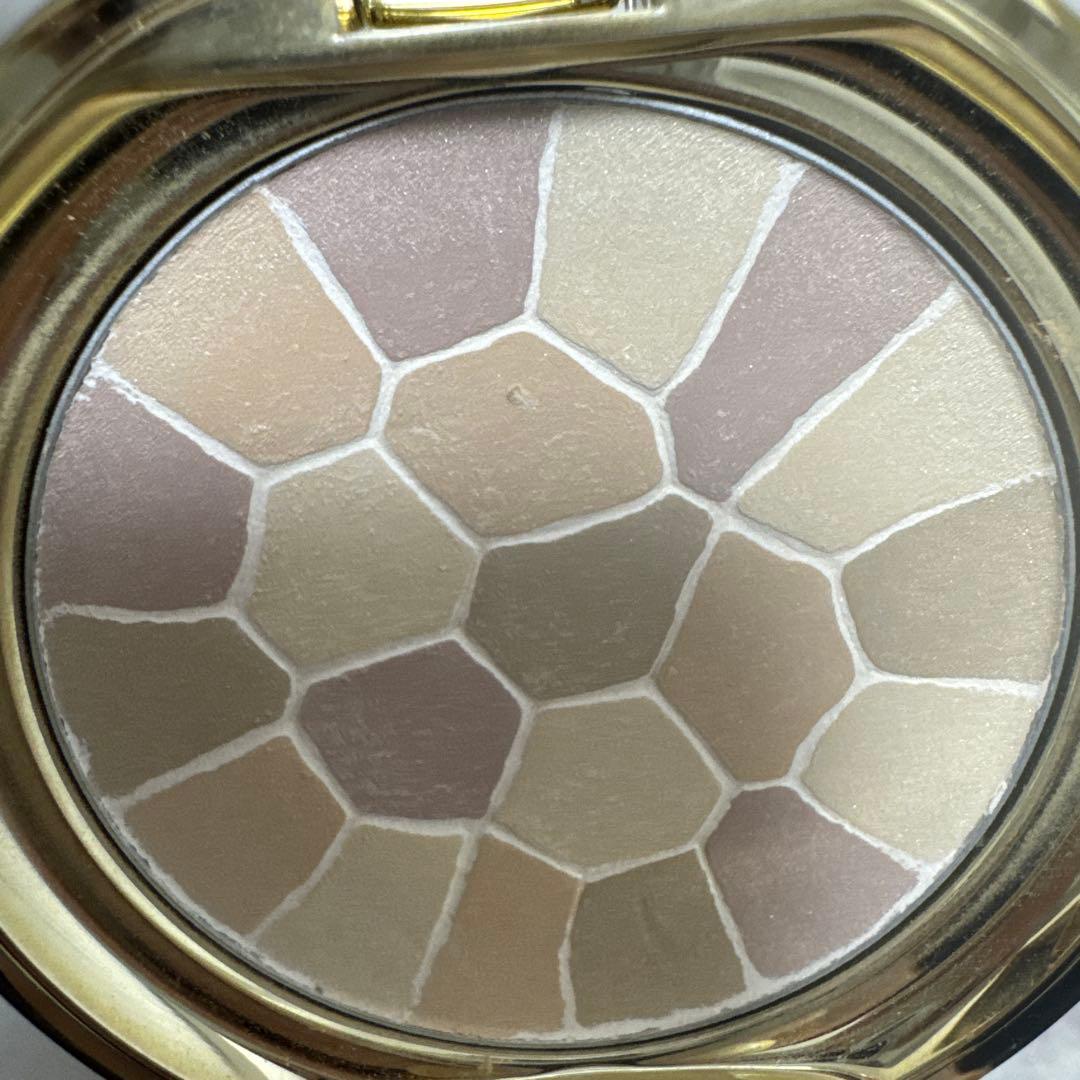 エレガンス　ラプードル　オートニュアンス V 8.8g フェイスパウダー