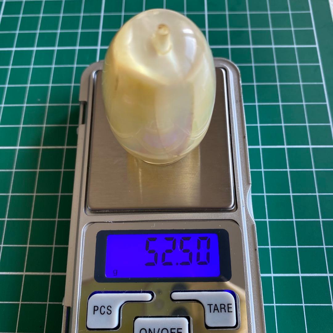 トローリングヘッド 黒蝶貝 白蝶貝 アワビシール 樹脂タイプ 5本