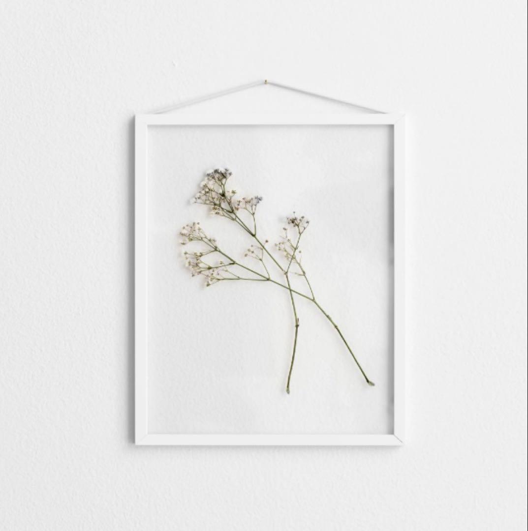 【新品】MOEBE FRAME A4 ホワイト ムーべ