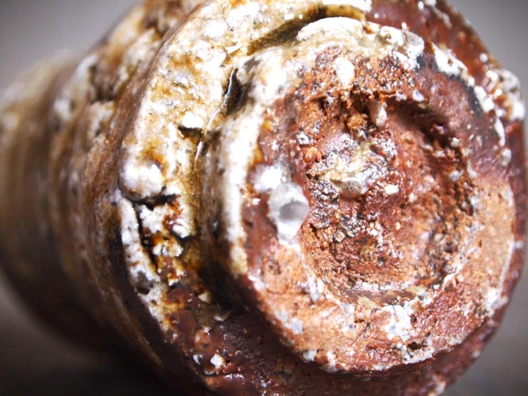 新作★迫能弘【師：辻清明】★赤信楽《窯変》酒器★ビードロ