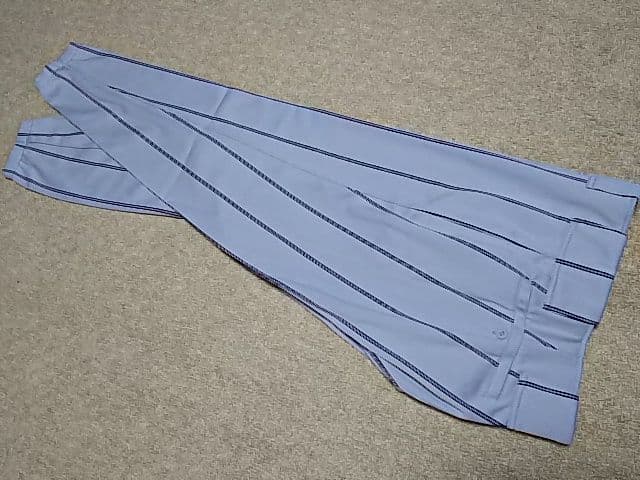 ミズノプロ Ｌサイズ 新品 ジャパン 日本代表 JAPAN ロングパンツ L