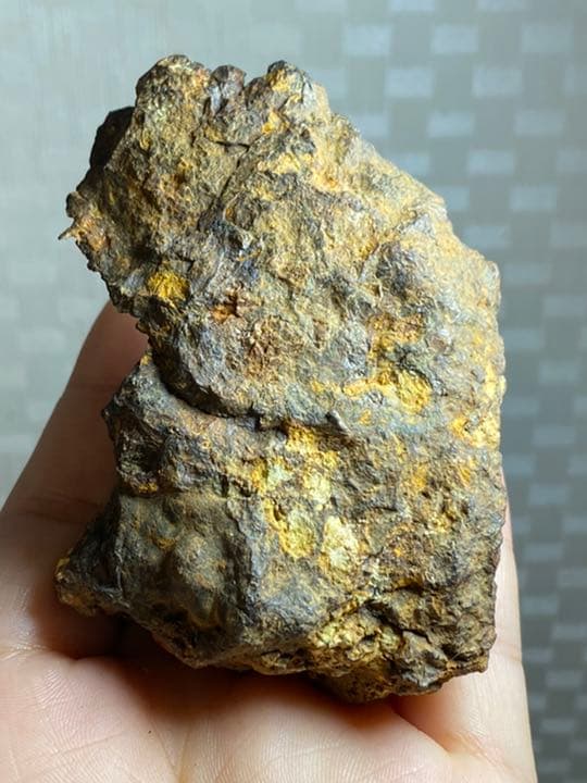 パラサイト隕石 253g セリコ隕石原石 希少 Bigサイズ メテオライト