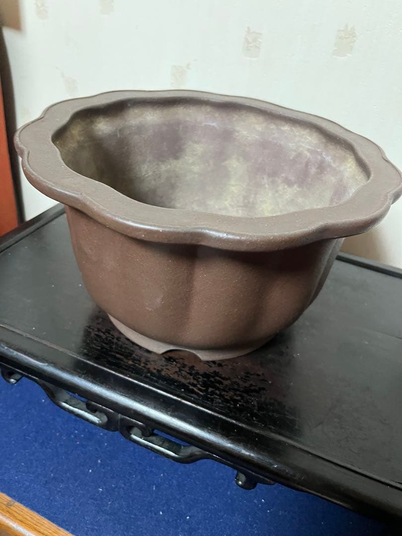 481 盆栽　盆栽鉢　植木鉢　和鉢　山秋
