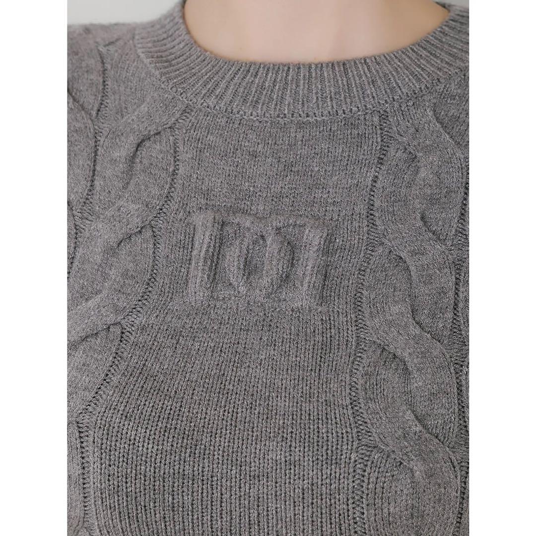 新品タグ付き ダーリッチ アームファーケーブルニットミニワンピース グレー F