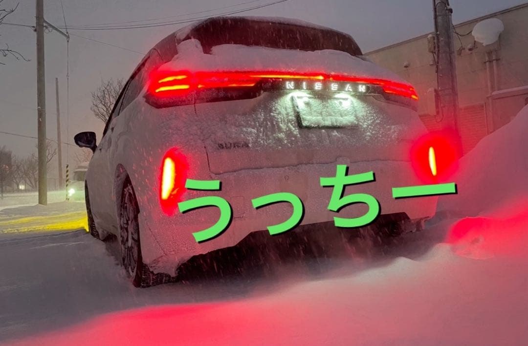 光るエンブレム　日産