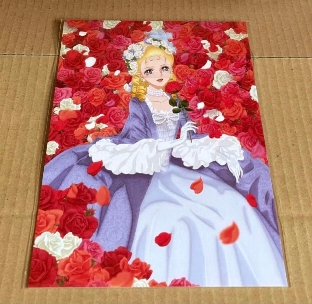 ベルサイユのばら 豪華版('25劇場アニメベルサイユのばら製作委員会