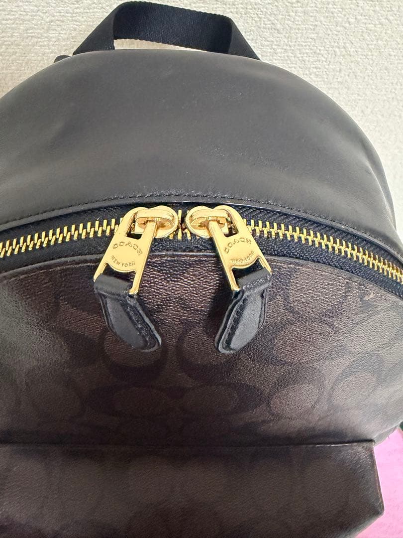 COACH コーチ F32200 シグネチャー リュック PVC